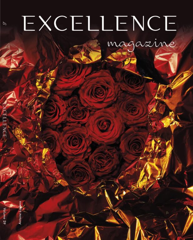 Excellence Magazine – Volume 29